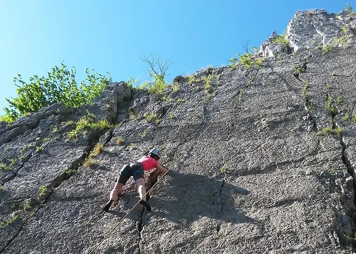 Du Vieux Moulin Rochefort